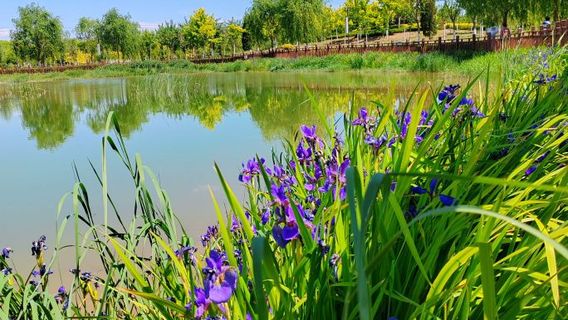 Jianping Wetland Park