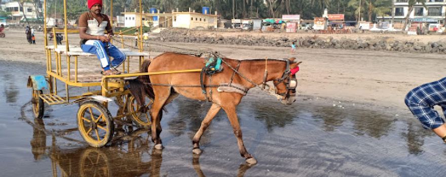 Murud Beach