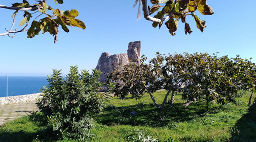Torre Nasparo