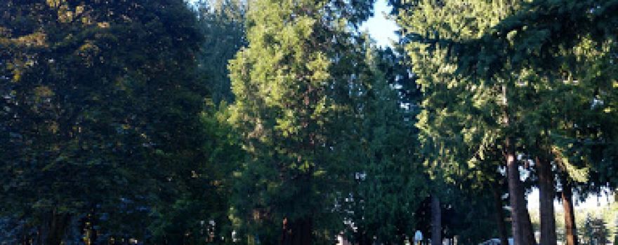 Church Creek Park