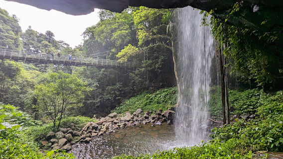 Crystal Shower Falls