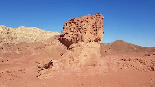 HaPitriya