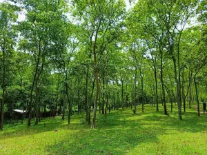 Babudaing Picnic Ground