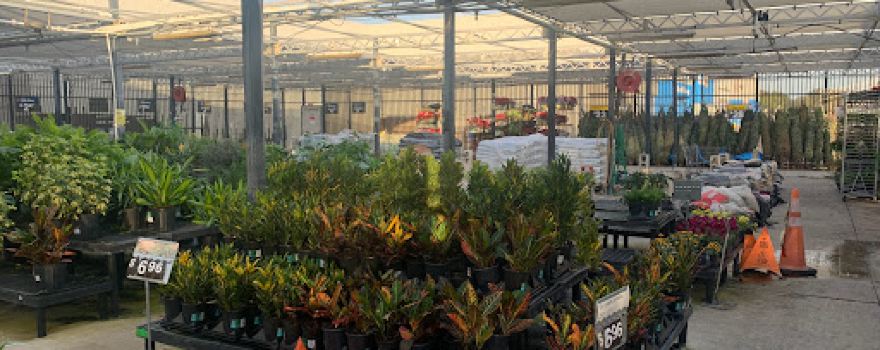 Walmart Garden Center