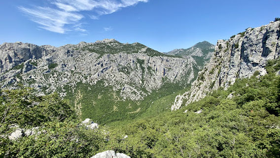 Starigrad