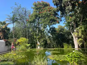 Botanical Garden
