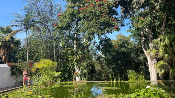 Botanical Garden