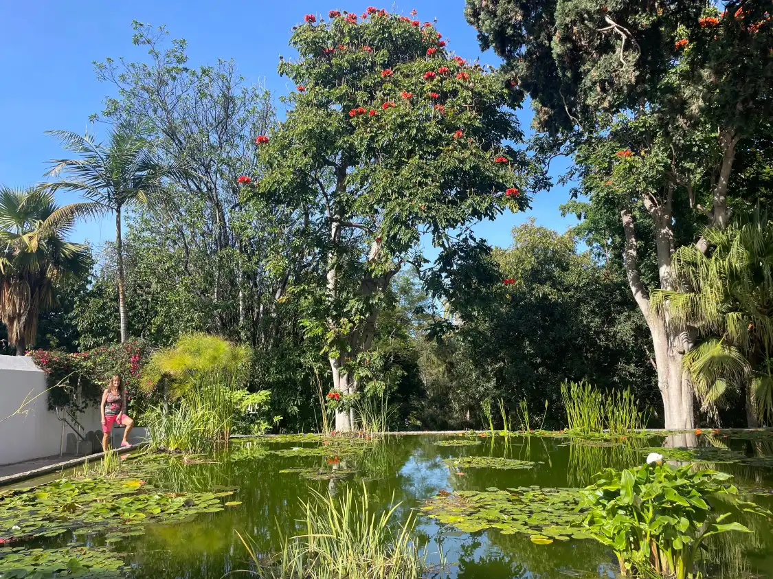Hotels near Botanical Garden
