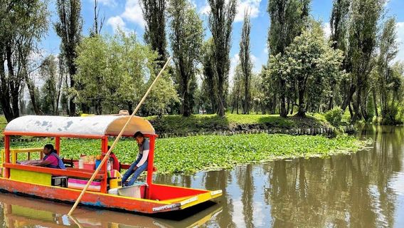 Парке Эколохико де Сочимилько