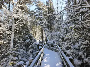 Crawford Lake Conservation Area