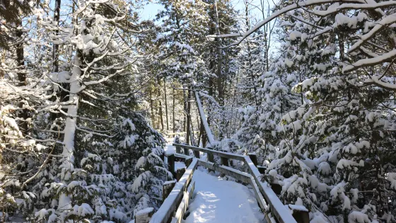 Crawford Lake Conservation Area