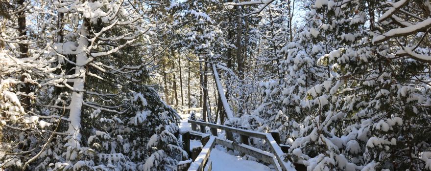 Crawford Lake Conservation Area