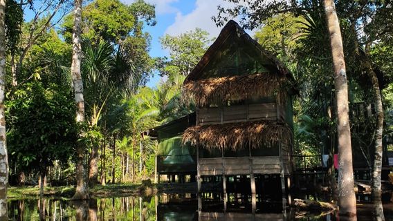 Iquitos