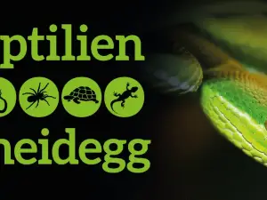 Reptilienzoo Scheidegg