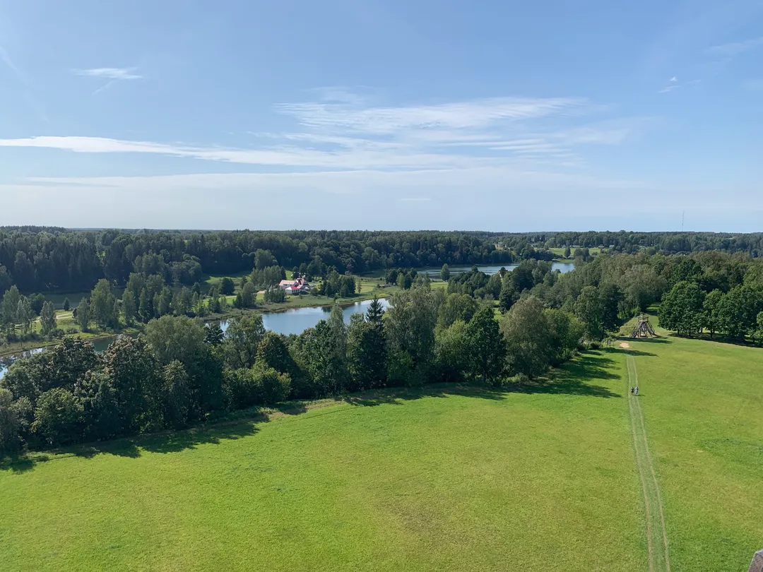 5_Rõuge watchtower "Pesapuu"