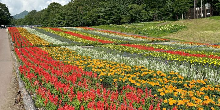 玉原高原