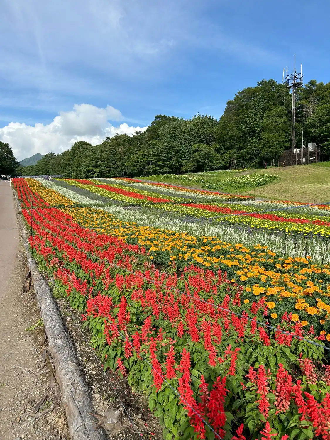Hotels near Tambara Kogen