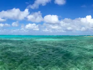 Rum Point