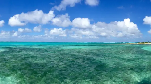 ケイマン諸島観光ガイド2026年：人気スポット、グルメ、ホテル、天気