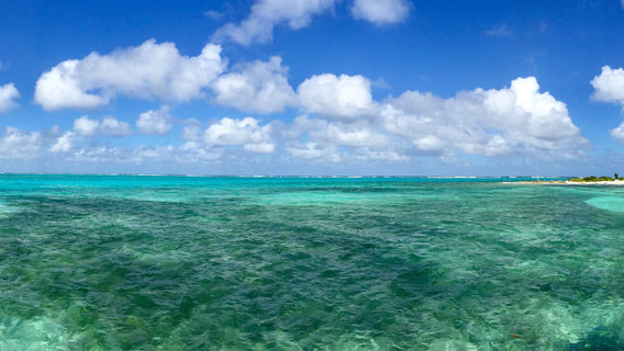 Grand Cayman