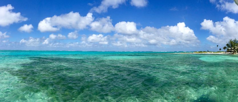 Rum Point