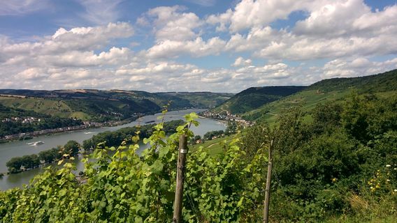 Rheinsteig
