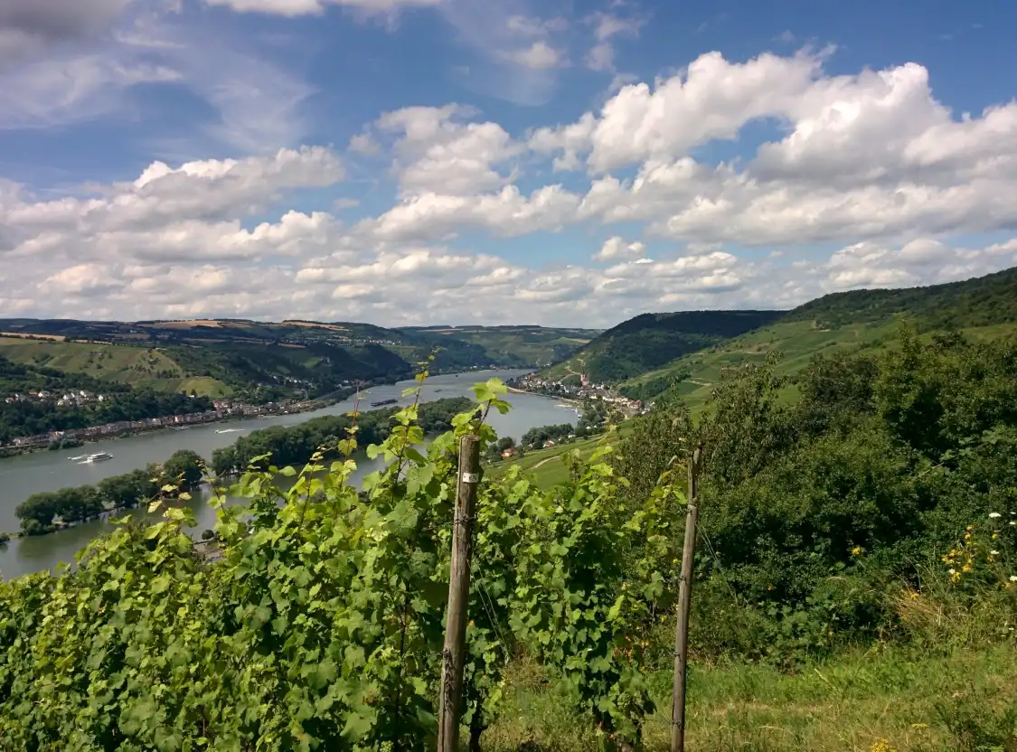 Hotels near Rheinsteig