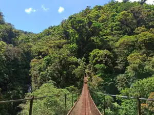 Boquete Tree Trek Mountain Resort