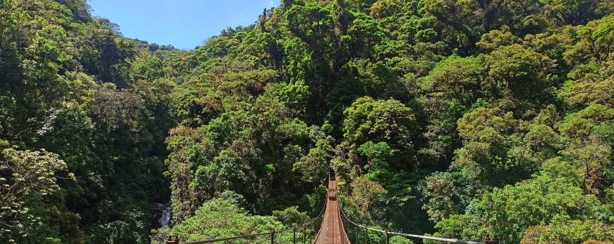 Boquete Tree Trek Mountain Resort