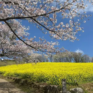 白木峰高原