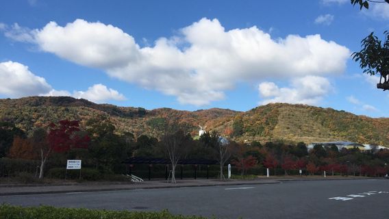Asutamuland Tokushima
