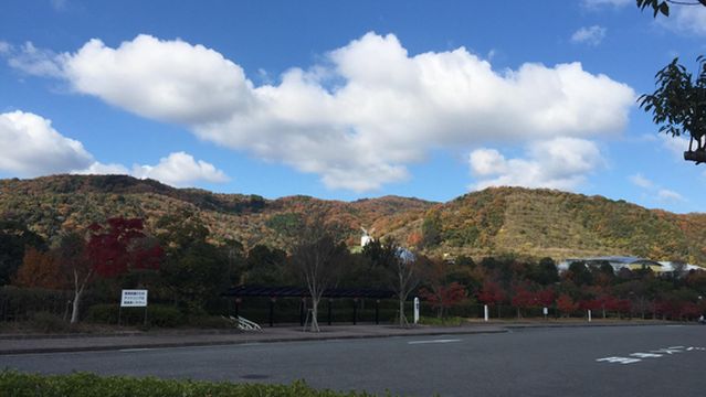 Asutamuland Tokushima