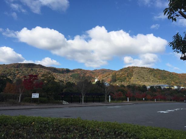 Asutamuland Tokushima