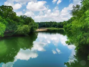 Swinging Bridges