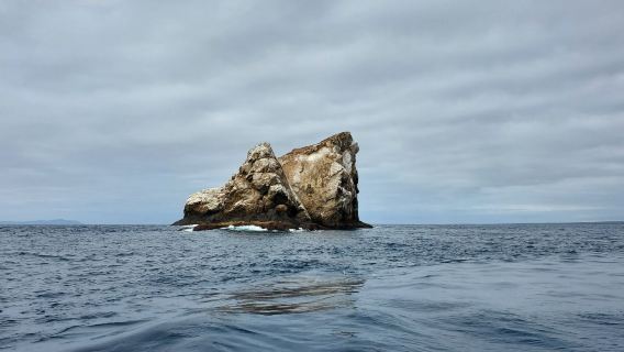 OCEAN DEEP DIVING