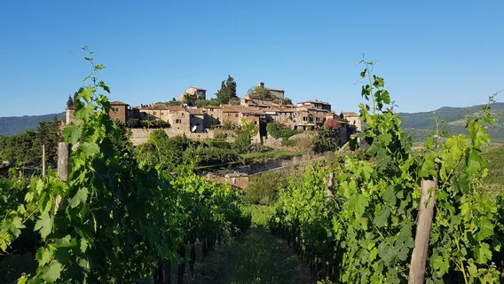 Montefioralle Winery