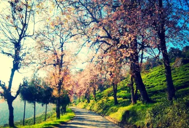 South Sikkim
