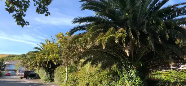 Hotels in Deviock