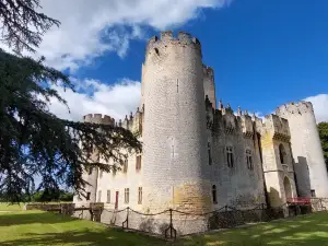 Castle Roquetaillade