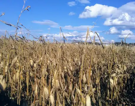 어퍼 앨런 타운쉽 모텔 6 숙소