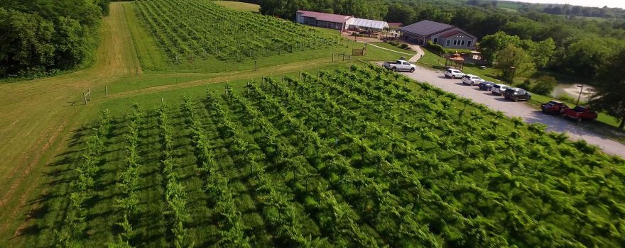 Ray County