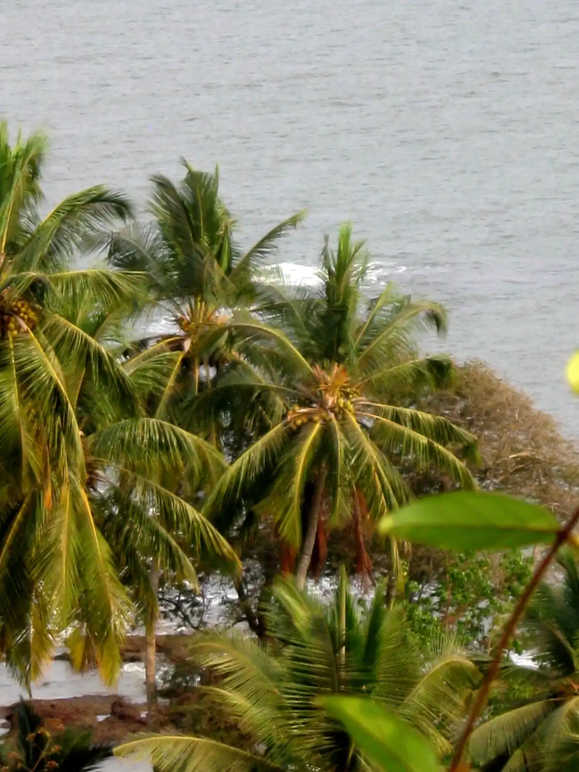 Hotels near Odxel Beach
