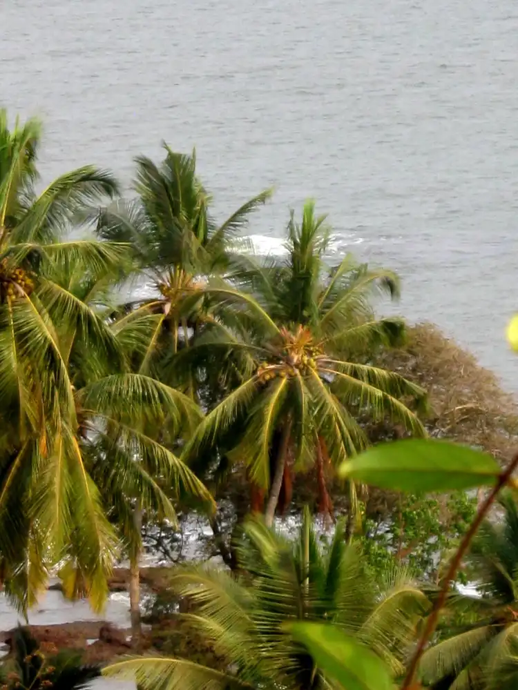 Hotels near Odxel Beach