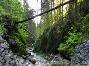 Slovak Paradise National Park