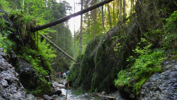 Parque nacional del Paraíso Eslovaco