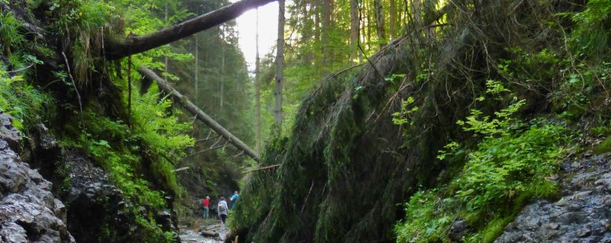 Slovak Paradise National Park