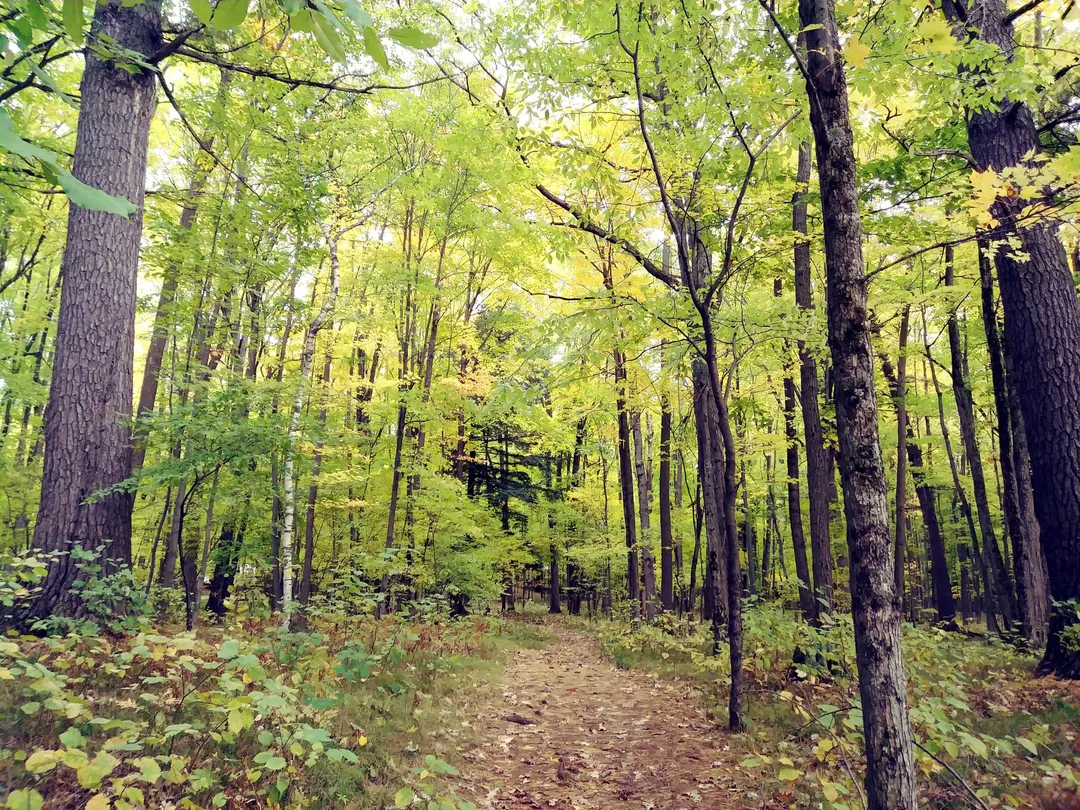 2_Council Grounds State Park