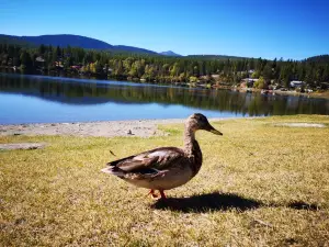 짐스미스 레이크 주립공원