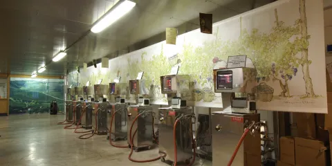 Tre Secoli sca - Viticoltori in Piemonte dal 1887