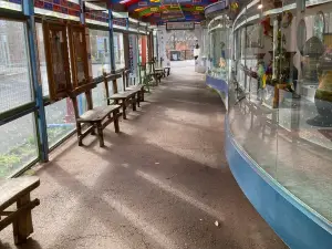 Sahara Glass Park
